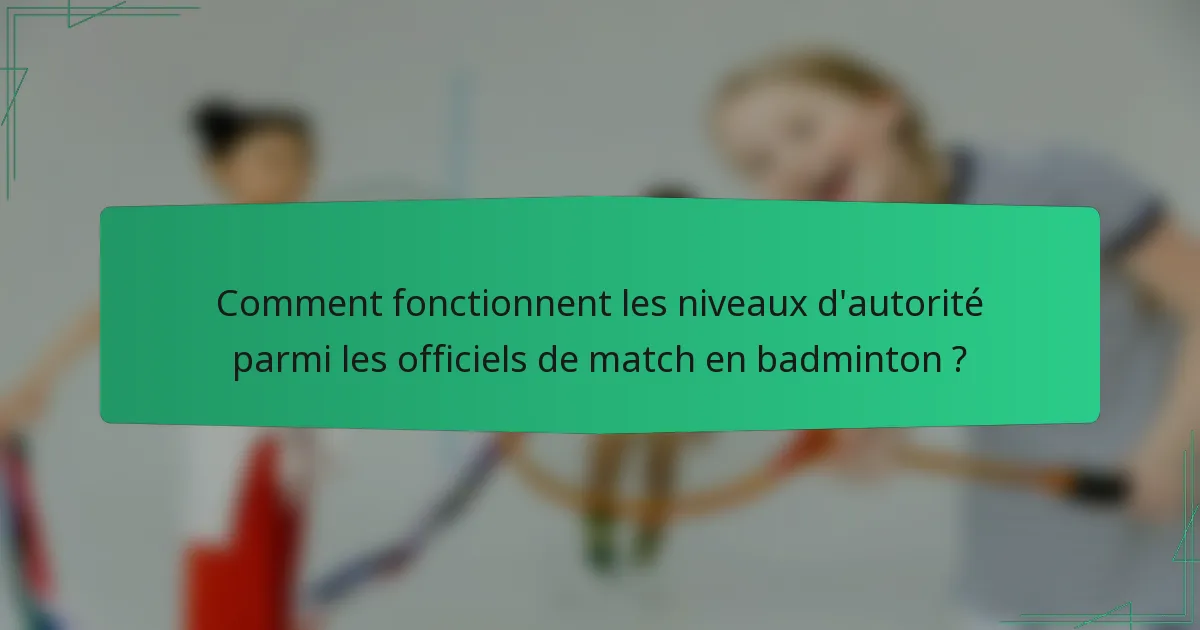 Comment fonctionnent les niveaux d'autorité parmi les officiels de match en badminton ?