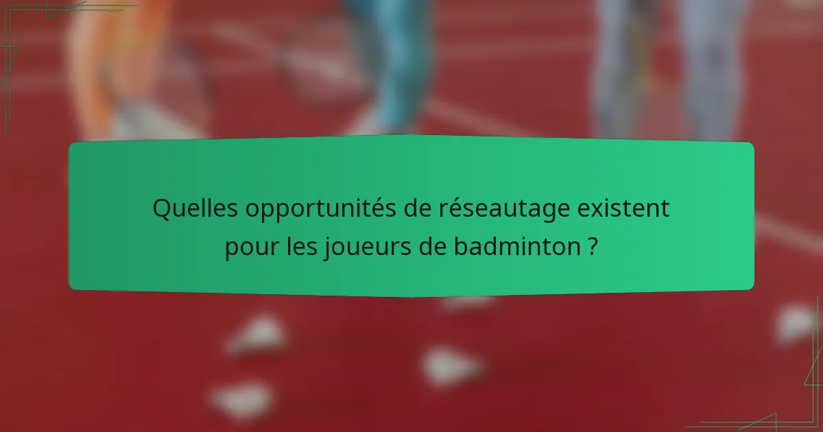 Quelles opportunités de réseautage existent pour les joueurs de badminton ?